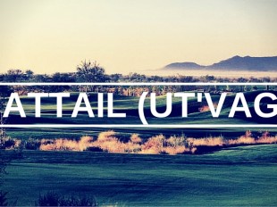 Whirlwind Golf Club: Cattail (Ut'Vagi)
