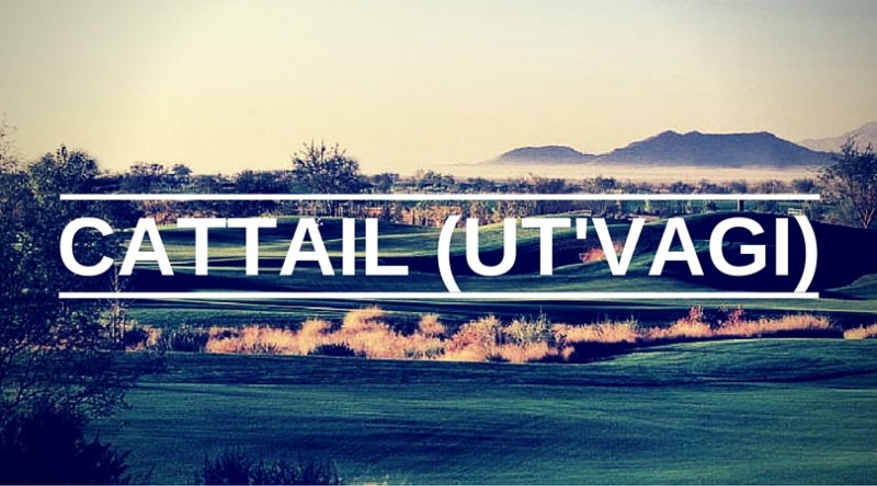 Whirlwind Golf Club: Cattail (Ut'Vagi)