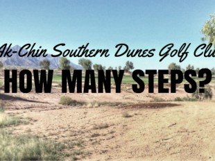 Ak-Chin Southern Dunes Golf Club: How many steps?