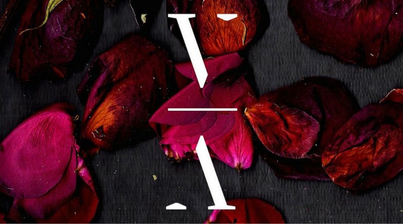 Lane 8 Announces New Label and Events Concept: This Never Happened