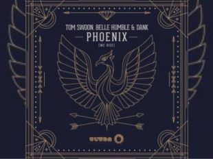 Tom Swoon's "Phoenix" is Your New Summer Anthem