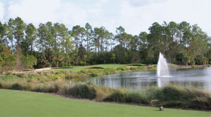 Tiburón's Gold Course Set To Host Two Professional Events, Reopen December 12