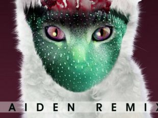 Raiden Drops Remix of Galantis "Runaway"