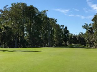 Wilderness Country Club: A Rare Tropical Paradise in the Heart of Naples