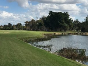 Cypress Lake Country Club: How many steps?