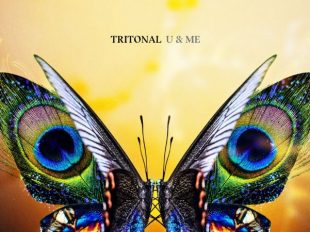 Tritonal release third full length studio album "U & Me"