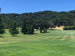 Marin Country Club: How many steps?