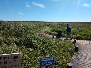 Golf In Sonoma County: The Links at Bodega Harbour