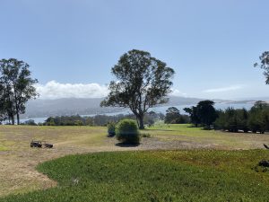 Morro Bay, CA