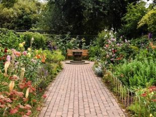 How to plan your dream garden