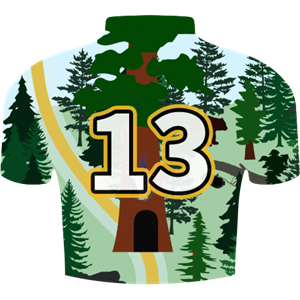 Redwood Dash