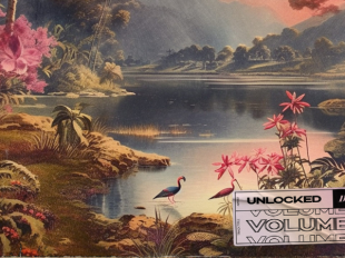 Do Not Duplicate Recordings Reveals Ninths Installment Of "Unlocked" Compilation Series