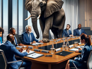 The Elephant In The Room: Since the role of General Manager needed to evolve to COO/CEO, why did the role of Controller not evolve to CFO?